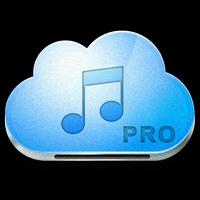 guide for Music Paradise Pro постер