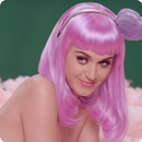Katy Perry - Songs + Lyrics APK