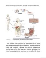 Anatomie et Physiologie Normales et Pathologiques Cartaz