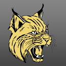 Cassville R-IV Schools APK