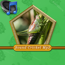 Sound Cricket Mp3 APK