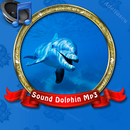 Sound Dolphin Mp3 APK