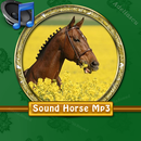 Sound Horse Mp3 APK