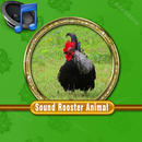 Sound Rooster Mp3 APK