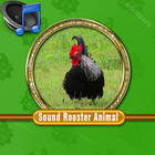 Sound Rooster Mp3 ícone