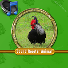 Sound Rooster Mp3 icono