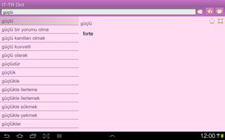 Italian Turkish dictionary screenshot 3