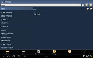 Polish Russian dictionary پوسٹر