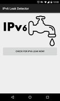 IPv6 Leak Detector Plakat
