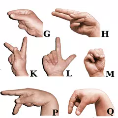 Sign language for beginners アプリダウンロード