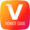 Vid Made Video Download Guide