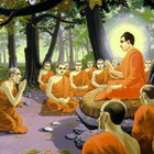 Đệ Tử Phật - 10 dai de tu phat ícone