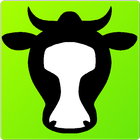 Reader Cow أيقونة