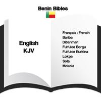 Benin Bibles : (in 9 languages of Benin) poster