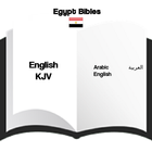 Egypt Bibles ไอคอน