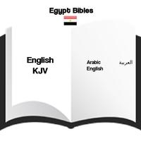پوستر Egypt Bibles