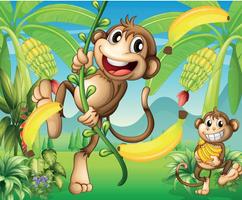 Monkey Jungle Adventure 2 capture d'écran 1