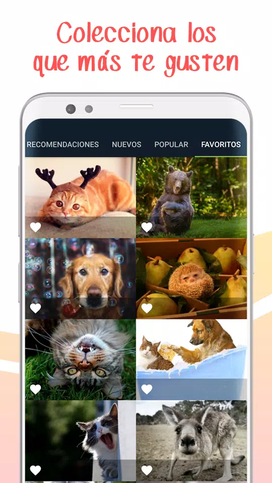 Fondos de Pantalla Chidos - Wallpapers Graciosos APK للاندرويد تنزيل Fondos de Pantalla Chidos - Wallpapers Graciosos APK للاندرويد تنزيل