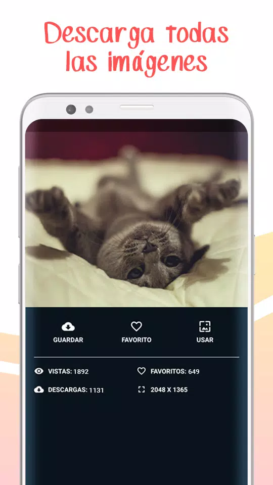 Fondos de Pantalla Chidos - Wallpapers Graciosos APK für Android herunterladen Fondos de Pantalla Chidos - Wallpapers Graciosos APK für Android herunterladen