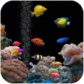 Aquarium Live Wallpaper