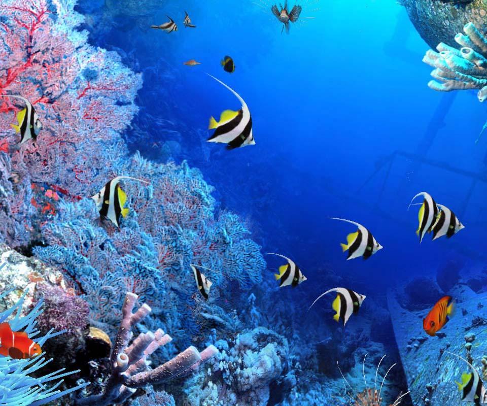  Aquarium  Live Wallpaper  for Android  APK Download