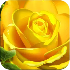 3D Rose Live Wallpaper APK download