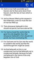 Bible স্ক্রিনশট 3