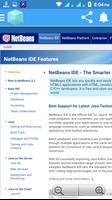 Netbeans Web capture d'écran 1