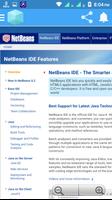 Netbeans Web screenshot 1