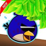 Crazy Angry Run _ Running & Games Birds