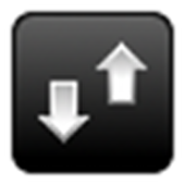 Icona Network Speed