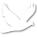 CanYouHack.It Mobile 1 APK