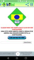 Poster Net Tv Brasil