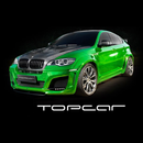 ACCESSORI AUTO TOPCAR APK