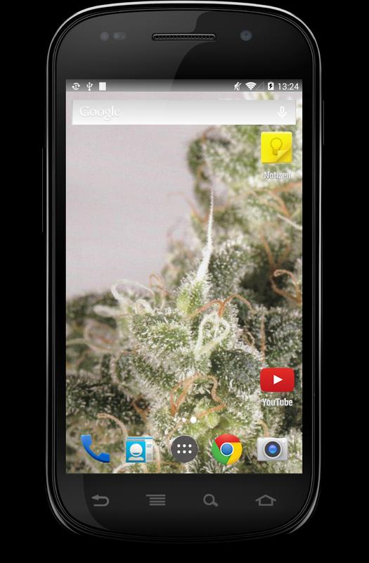  Weed  Cannabis Wallpaper  HD  4K  for Android APK Download