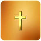 Bible NIV icône