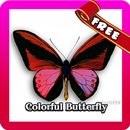 New Butterfly Colorful Theme APK