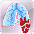 Cardiopulmonary Murmur icône