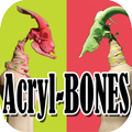 Acryl-BONES