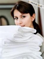 Housekeeping Operations Manual imagem de tela 1