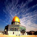 حالات فلسطينية APK