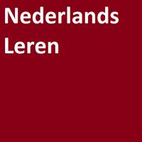 Nederlands Leren poster