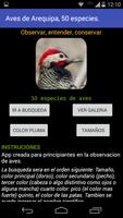Aves de Arequipa - Peru poster