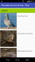 Aves de Arequipa - Peru Ekran Görüntüsü 3