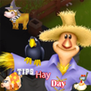 Tips For Hay Day APK