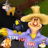 ”Tips For Hay Day
