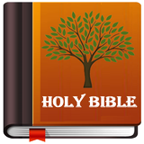 Holy Bible: Catholic Edition icône