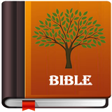The NLV Bible ícone