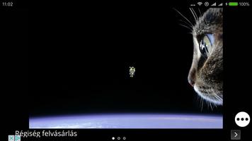 Cute Cats Wallpapers Free HD скриншот 3