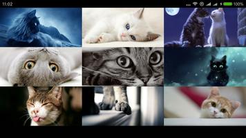 Cute Cats Wallpapers Free HD ภาพหน้าจอ 1